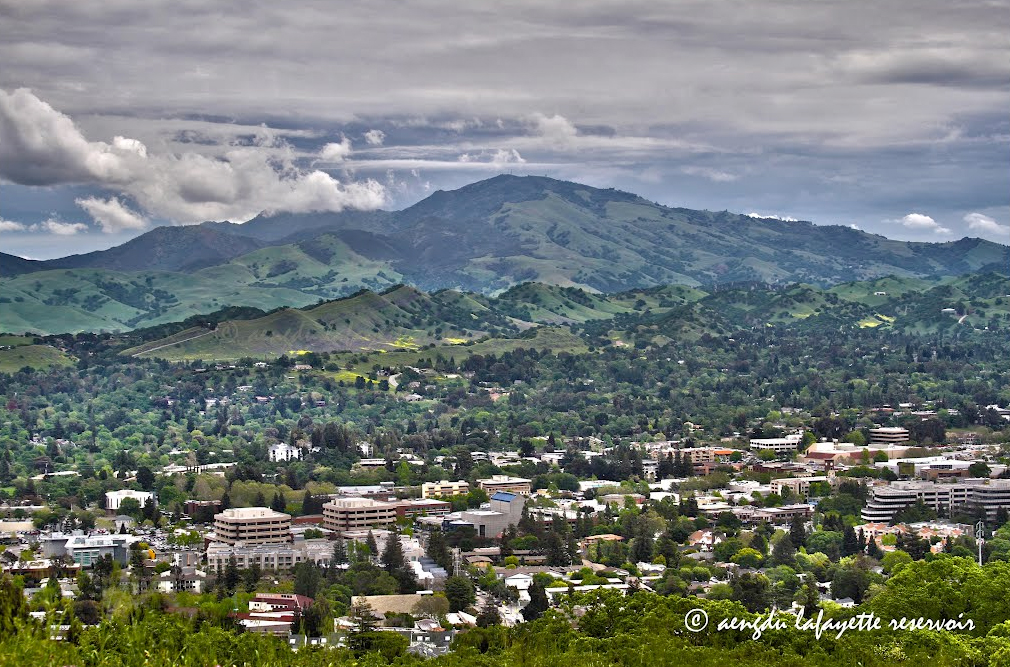 Levine Family Law Group Announces the Opening of its Walnut Creek