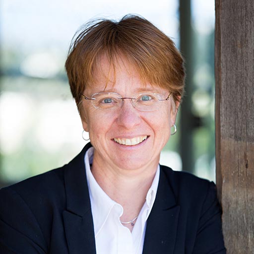 Schedule a Consultation with Anne Mania Levine Family Law Group